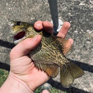 Meet your Posher, Gary